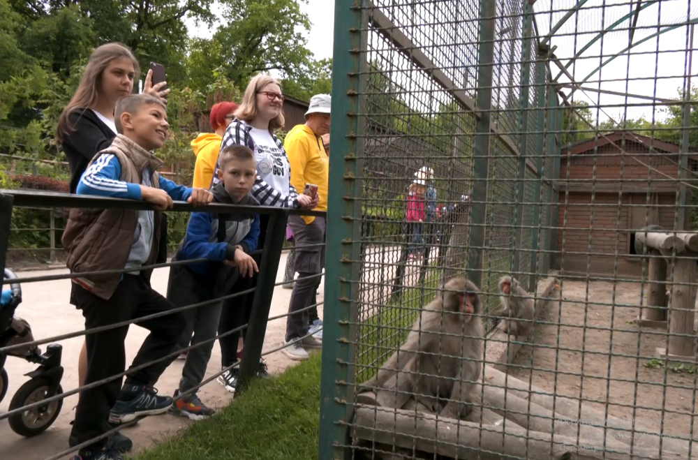 Як у зоопарку вітали з Міжнародним днем захисту дітей?